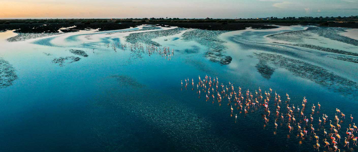 Aon’s 2022 ESG Impact Report